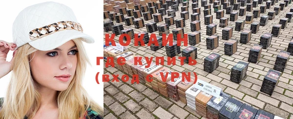 тгк Ладушкин