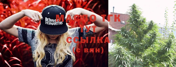 тгк Ладушкин