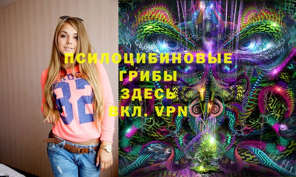 apvp Лабытнанги